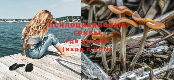 таблы Долгопрудный
