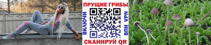 hydra сайт  Копейск  Галлюциногенные грибы мухоморы 